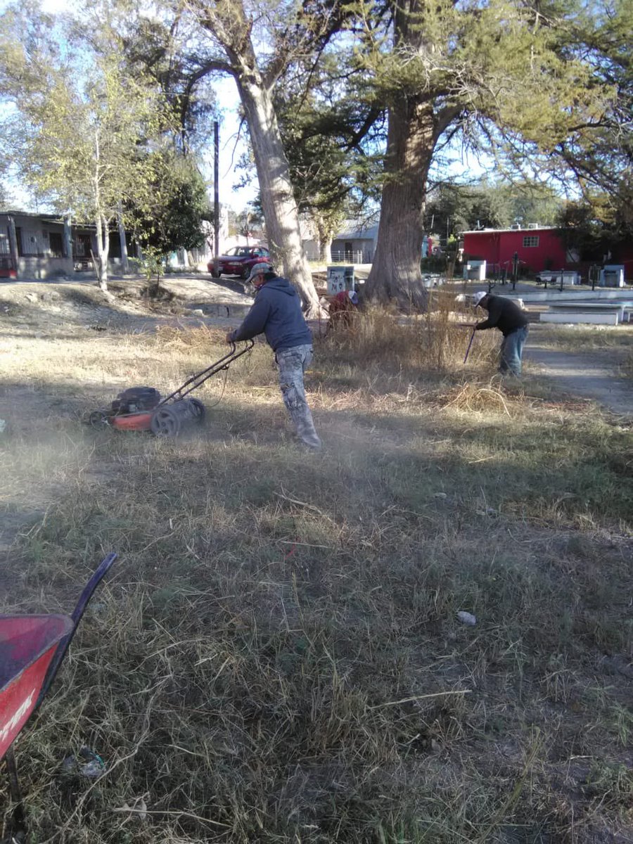Dirección de servicios primarios y ecología:

Se realizó limpieza en calle Santa Rosa barrio nogalera