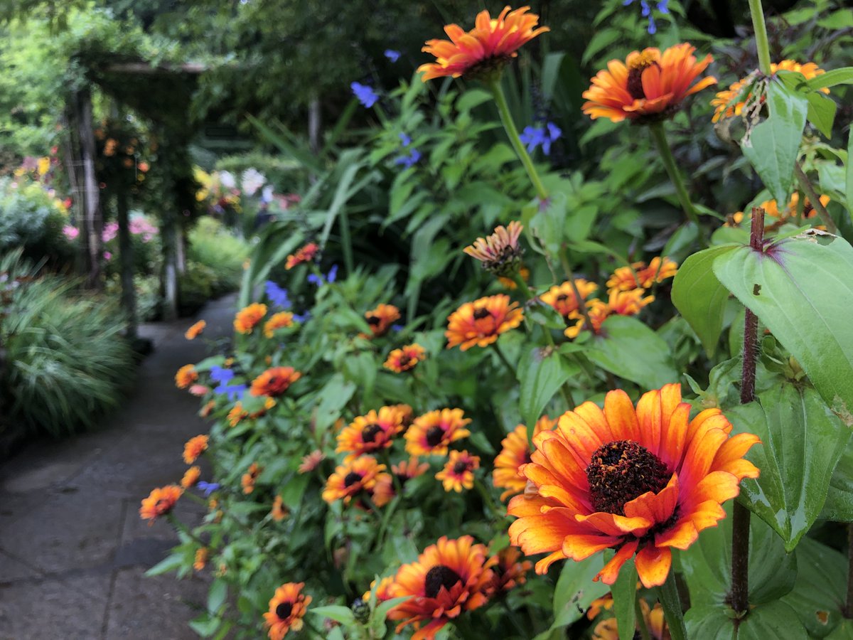NearAndFarAZ's tweet photo. I love a colorful scene!💙❤️🧡 Here are a few favorites for this week's #Top4Theme #Top4Multicoloured @Giselleinmotion @CharlesMcCool @perthtravelers @Touchse
- Butchart Gardens #VictoriaBC
- Desert Botanical Garden #PhoenixAZ
- Hatch chiles #HatchNM
- Sensorio #PasoRoblesCA https://t.co/iFAEpc9w03