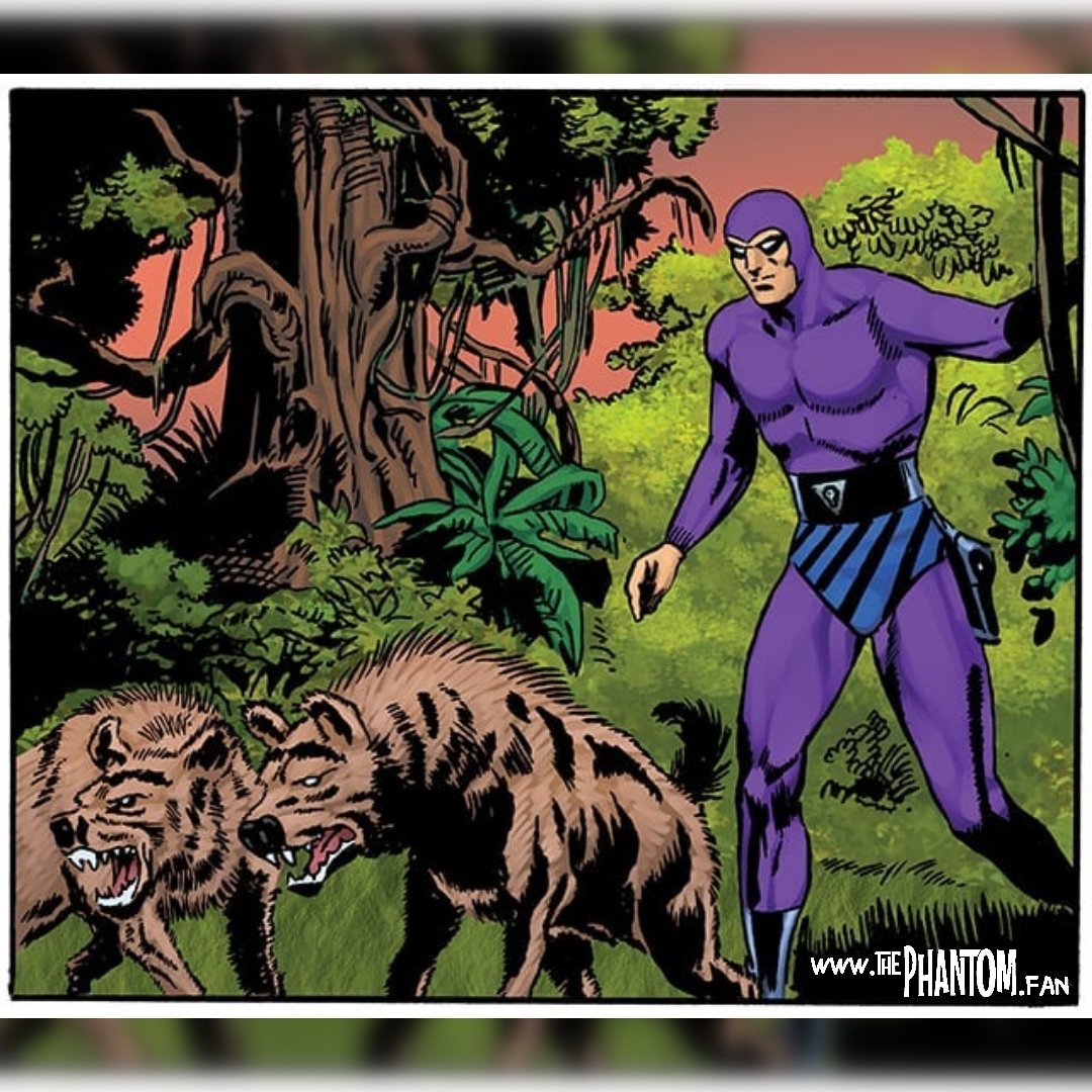 thephantom_fan's tweet image. 🎨 Art by Jeremy Macpherson &amp;amp; colors by Thomas Mason. #thephantom #comicbook