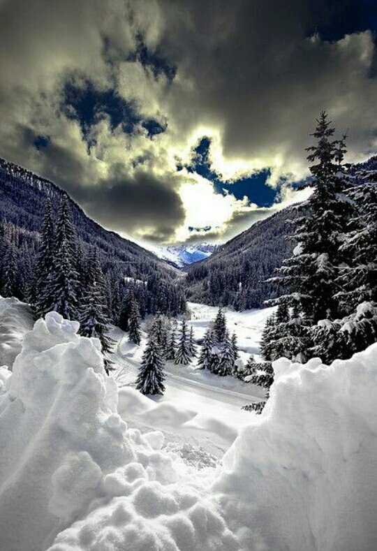 azkiusmi's tweet photo. #Folloforfolloback 
⚀
@azkiusmi
@Alaayous3
@lovestupidme
⚁
@Diana29girl
@antoniaparra8
@paolaalighieri
⚂
@GreeicyYai
@sah_ar6
@TalentaAndilau
⚃
@Yulidiaz2001
@tadayokun73
@lunayessih
⚄
@AlMwsitTizia
@MarcelaErcia
@Albasha40835
⚅
@1redroc
@Haidy366
@Elvira57538981 https://t.co/h6sTPUbDW6