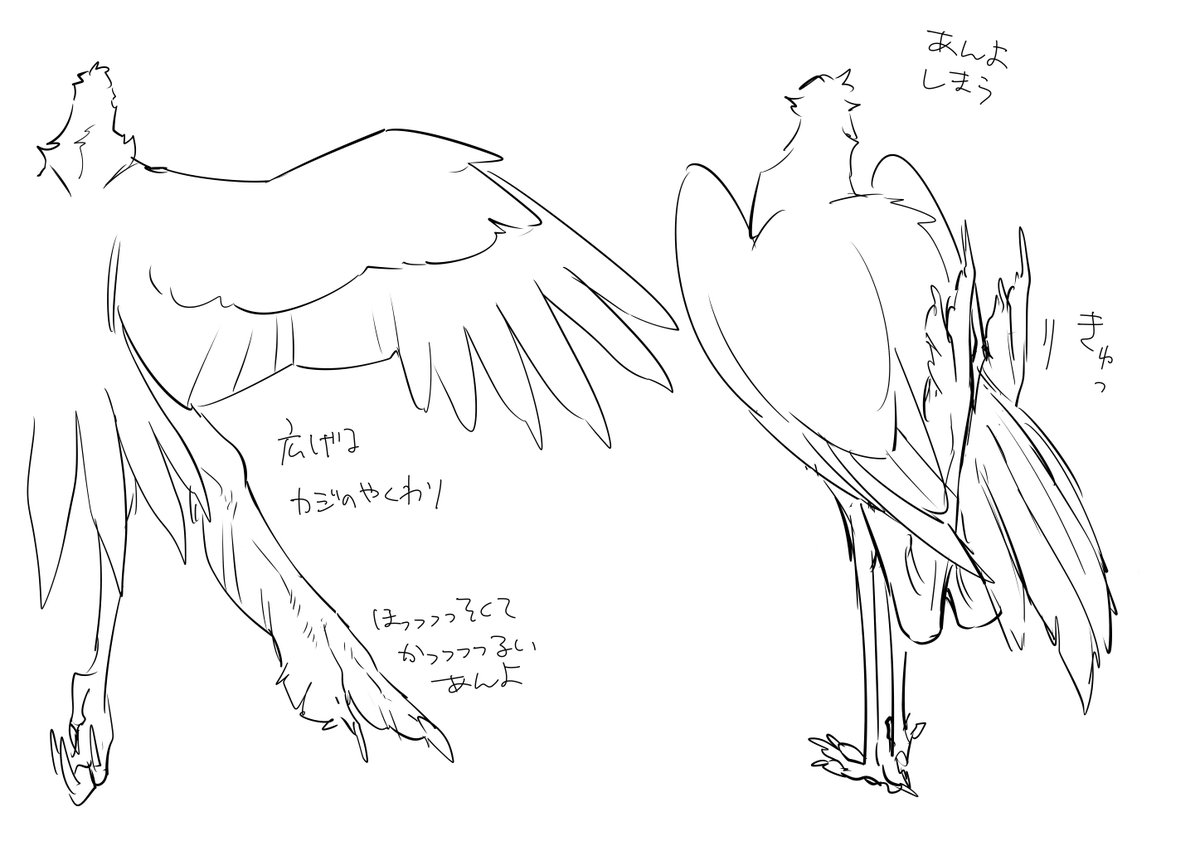 鳥 