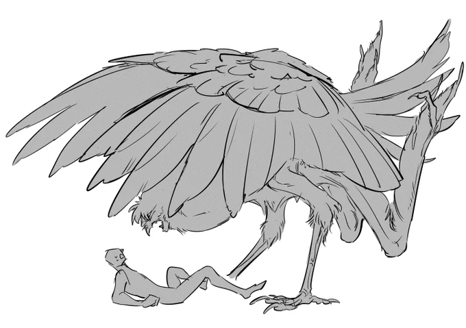 鳥 