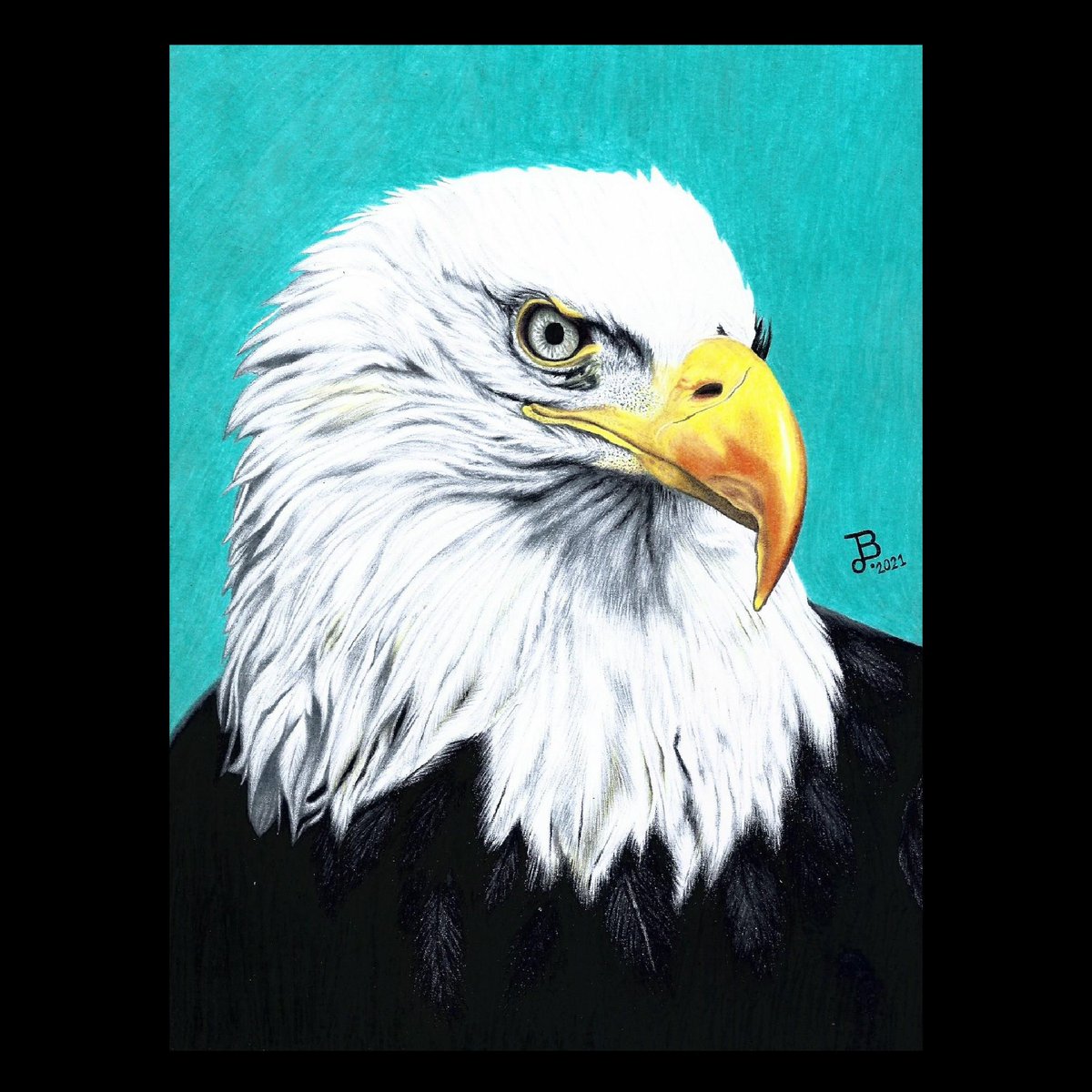 Ejboart's tweet photo. Título: Águila.
.
Materiales: Lápices de colores, carboncillo, tiza pastel y hoja opalina.
.
Año: 2021.
.
.
.
#artistofinstagram #art #drawings #dibujos #animalplanet #animals #animales #dibujosdeanimales #dibujosacolor #fabercastell #mundoanimal #tigre #realismo #ejboart https://t.co/iADuTutCcC