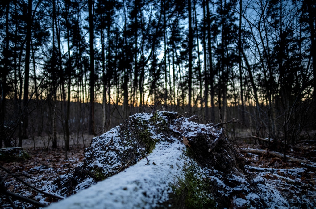 frosty sunset
⁠
Shot with my #LeicaM10R (Summilux 21mm I f1.4 I 1/250)⁠
⁠
#photographedByFlorianFroschmayer ⁠
⁠
#leicacamera #leicaphoto #leicaphotography #leicam10 #theleicalook #leicaworld #leicam #leica #leicasociety