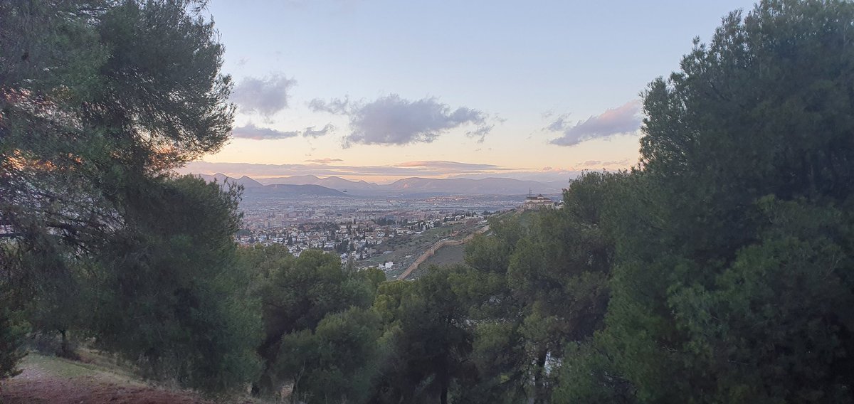 Luis Garicano 🇪🇺🇺🇦 tweet media