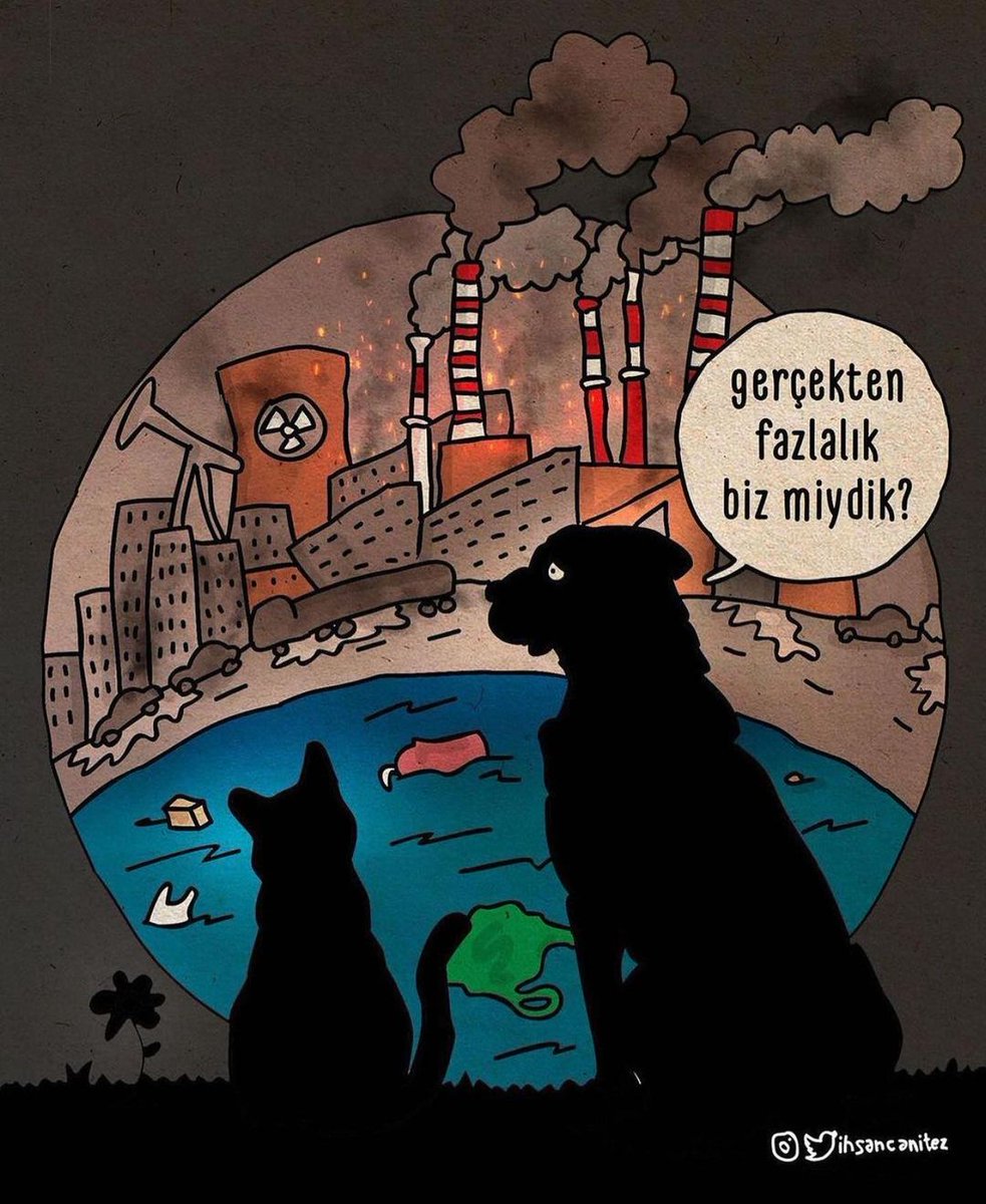 masum_gozler's tweet photo. #BarınaklarKatliamYuvası https://t.co/sjahUDX1fs