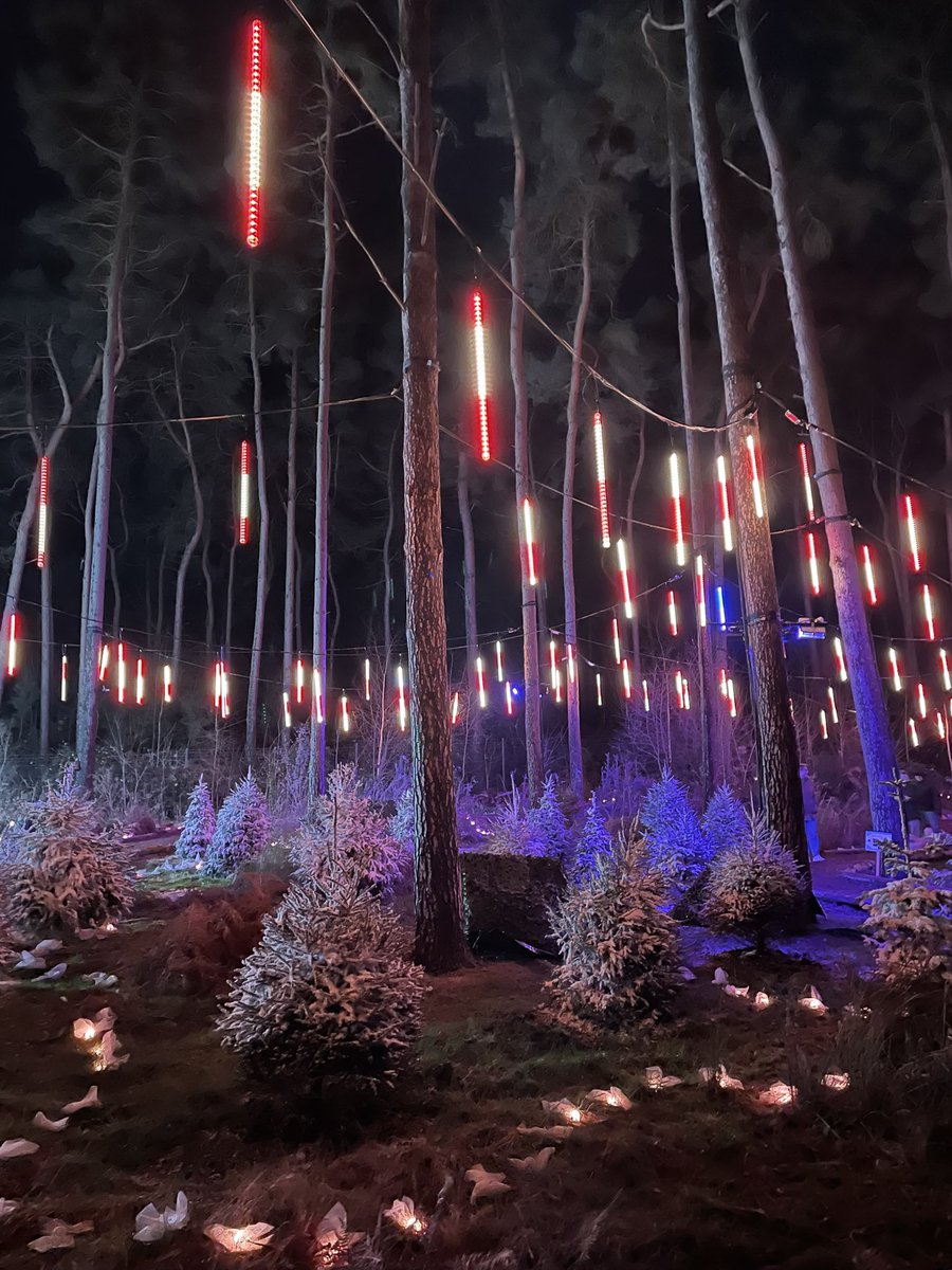 emzy945's tweet photo. Thank you @CP_UK_Woburn for an amazing Christmas, lots of magical memories made @CenterParcsUK #mycp https://t.co/Imkgo7rYKK