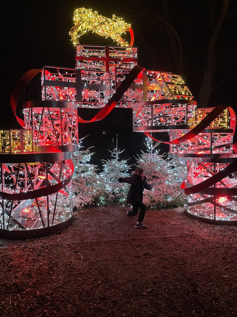 emzy945's tweet photo. Thank you @CP_UK_Woburn for an amazing Christmas, lots of magical memories made @CenterParcsUK #mycp https://t.co/Imkgo7rYKK