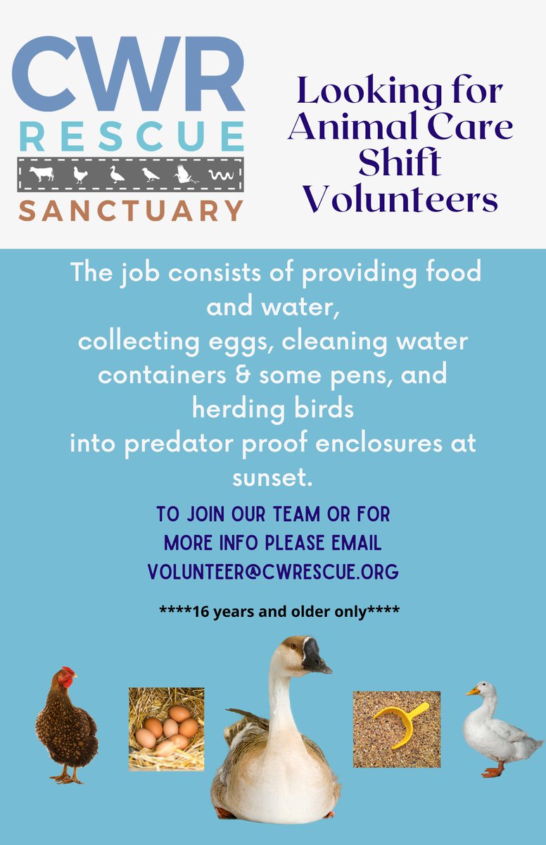 Carolina Waterfowl (@waterfowlrescue) on Twitter photo 