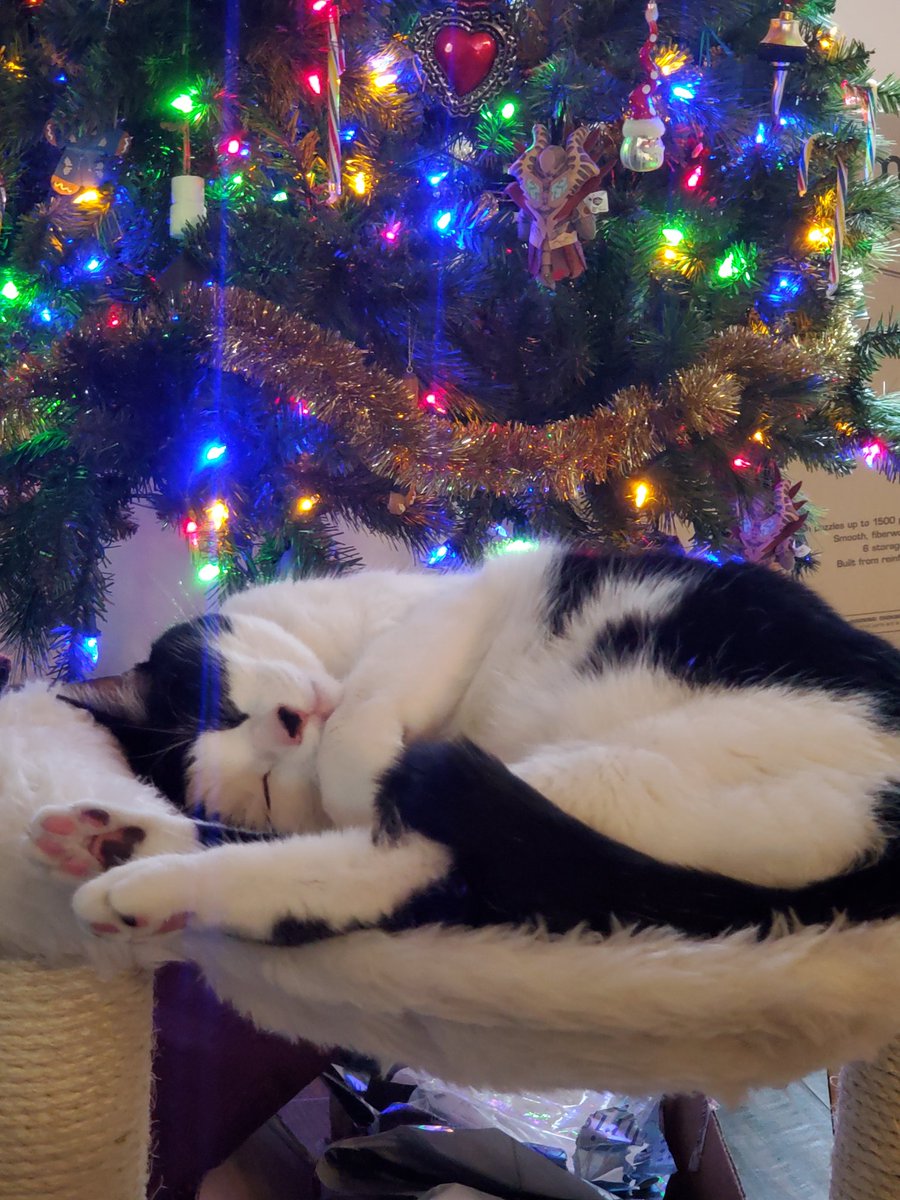 leahftw's tweet photo. Snoozy butt ❤ https://t.co/8DiPxFb6Dl