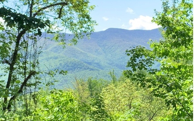 Mike_Stewart12's tweet photo. I am looking for a buyer for Lot 4 Morgan Ridge Dr #YoungHarris #GA  #realestate https://t.co/pu7PJLRwag https://t.co/xPM5iSroF2