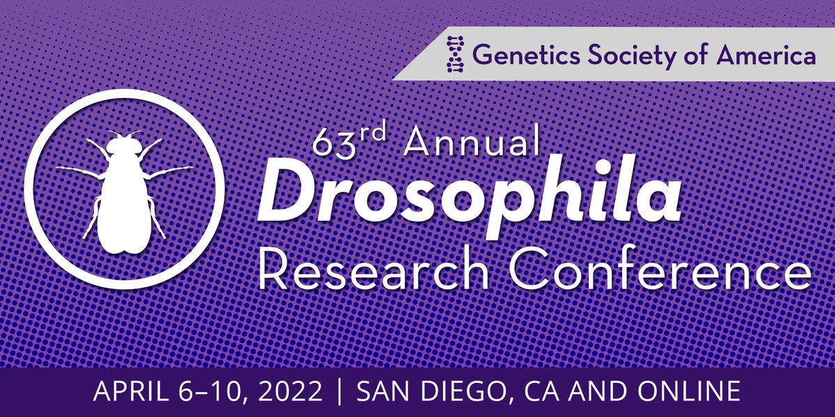 Planning to attend the 63rd Annual #Drosophila Research Conference? Whether you're attending in-person or virtually, don't forget to register by January 18, 2022 to receive an early registration discount! #Dros22 | bit.ly/3ADHJhl