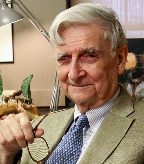 Molta tristesa davant la pèrdua d'Edward O. Wilson, biòleg i autor que va fer un treball pioner sobre la biodiversitat, els insectes i la naturalesa humana. 
Mor als 92 anys, deixant-nos una obra gegant #EOWilson