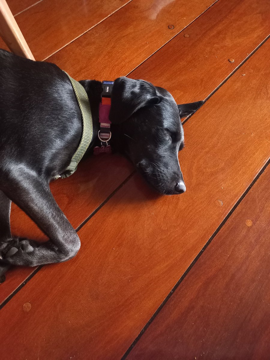 jkdantas's tweet photo. Minha Menina ❤ https://t.co/mMTav0vi76
