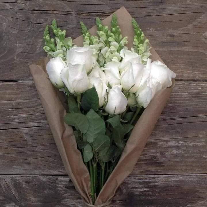 zeineb_1111's tweet photo. 🤍🤍🌿 https://t.co/IPCS01QlPn