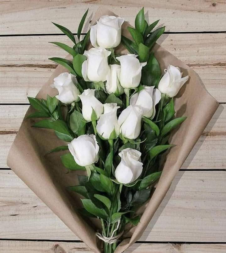 zeineb_1111's tweet photo. 🤍🤍🌿 https://t.co/IPCS01QlPn