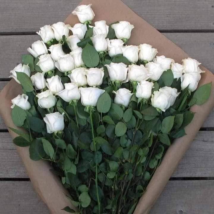 zeineb_1111's tweet photo. 🤍🤍🌿 https://t.co/IPCS01QlPn