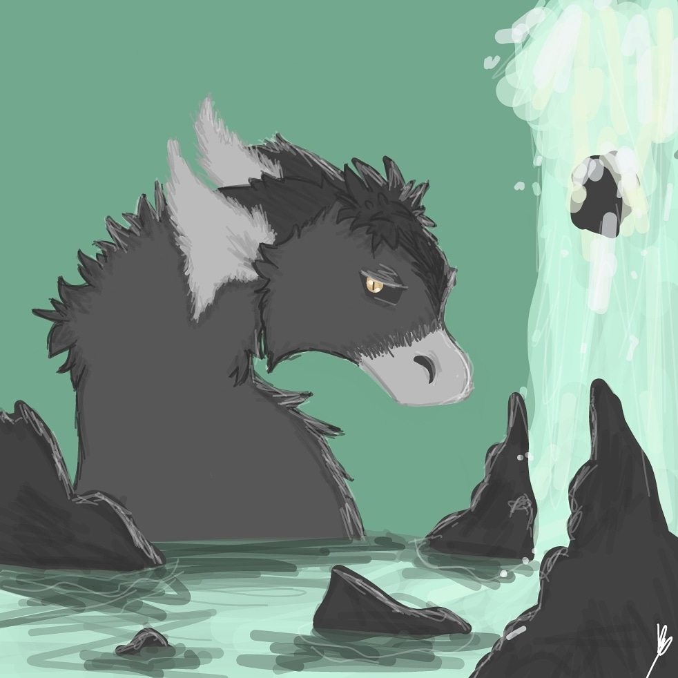 •illusionn° tweet media