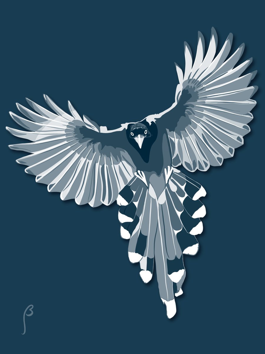 BargoDesign's tweet photo. Here's a bird. 🐦
#procreatedrawing #procreate 
#digitalart https://t.co/AO7ARE823G