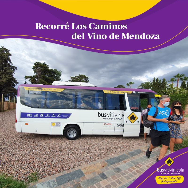 BusVitivinicola's tweet photo. De viernes a lunes recorré con el Bus Vitivinícola Los Caminos del Vino de #Mendoza
►Disfrutá un día #Bodegueando 🍇🍷
►WhatsApp 📲+54 9 261 2 63-9439 https://t.co/KzTQuTLXll