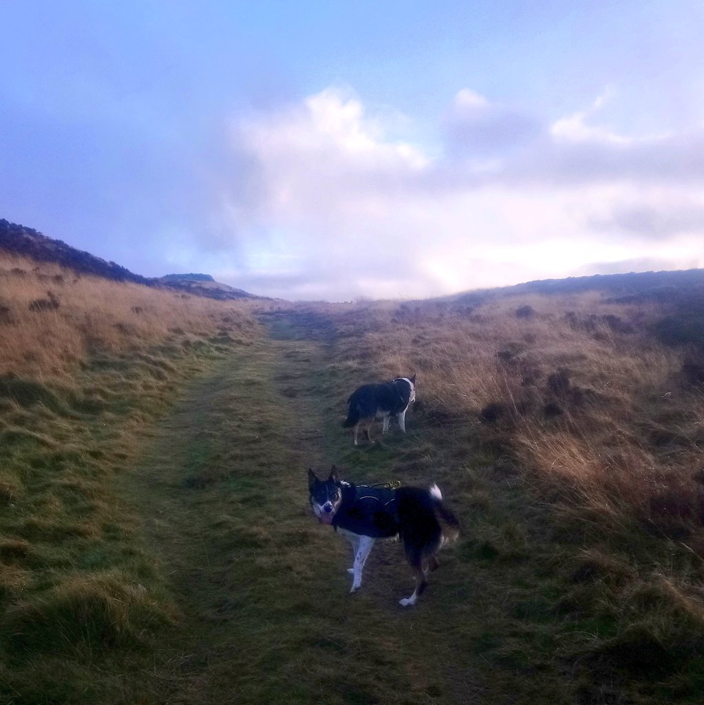 Nell & Jess tweet media