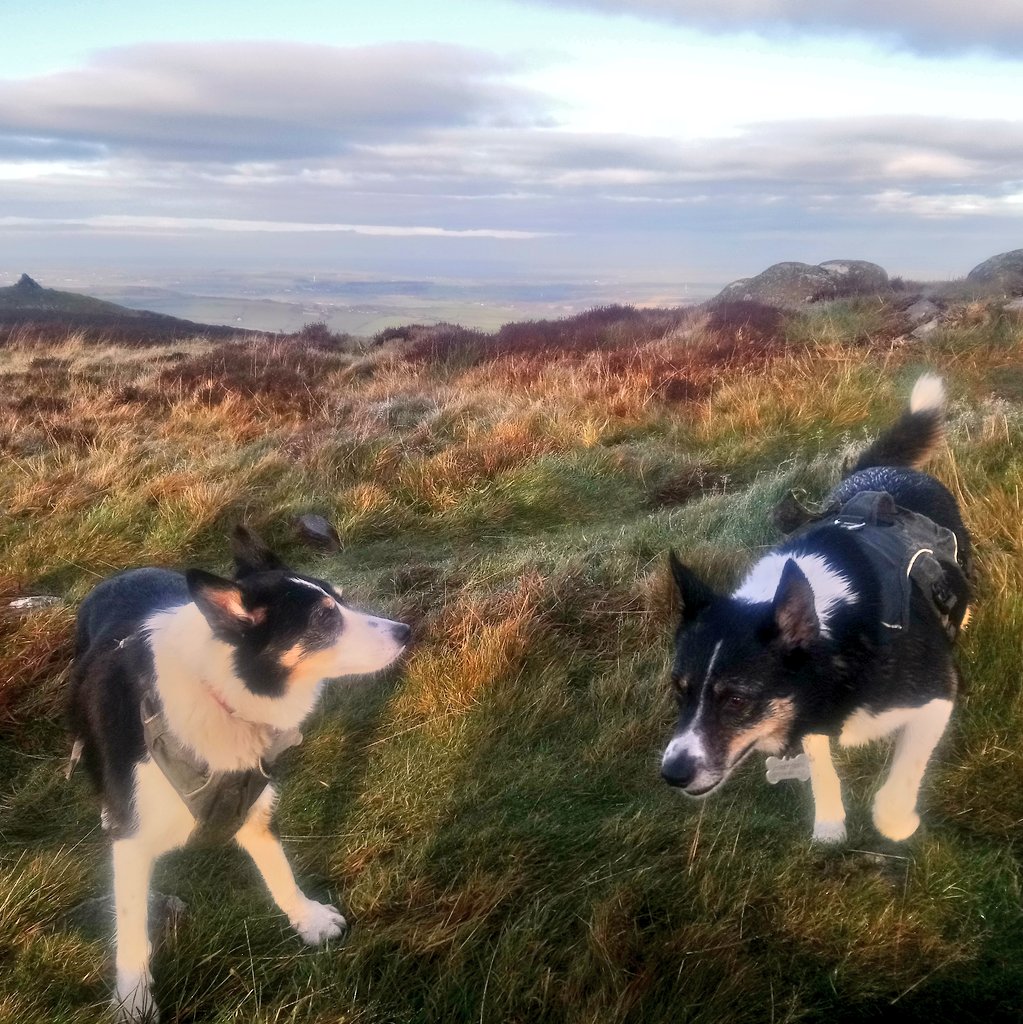 Nell & Jess tweet media