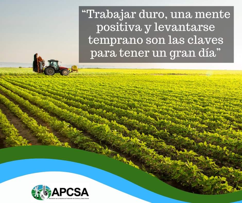 #FelizLunes #FelizInicioDeSemana