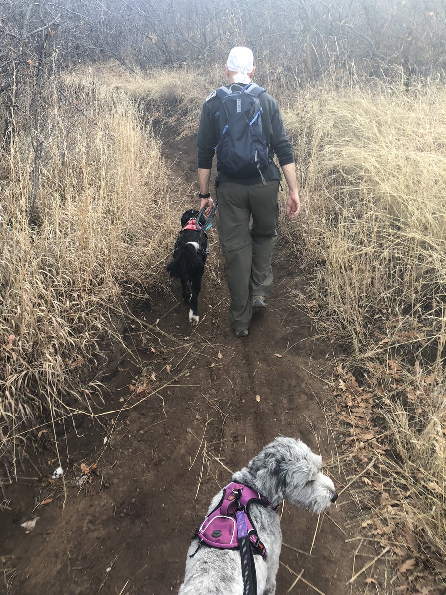 bsstillman's tweet photo. Remote office and no commute means I can #bwell with regular walks with the pups and the husband. #salesforceflex #petforce @salesforce @salesforcejobs https://t.co/WXEVEddtAr