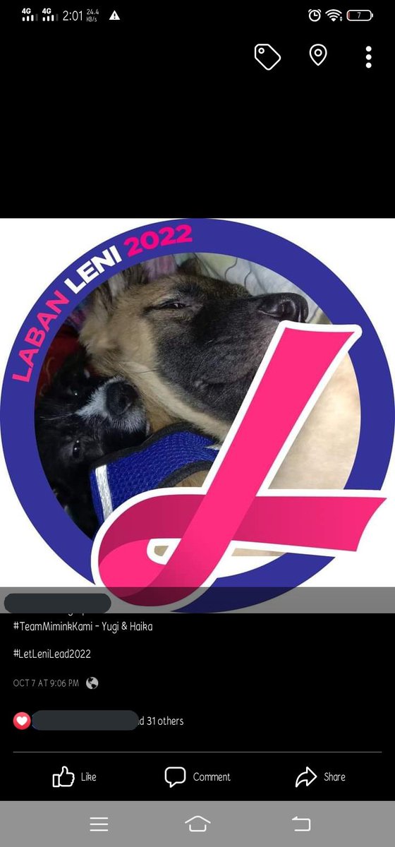 ahgabirdmaruya's tweet image. Changed my display picture on fb as my way of supporting VP Leni. Btw, this is my two junakis hehe Yugi &amp;amp; Haika also supports VP Leni. Leg8 #RobreDOGS 'yan!

#LABANLENI2022 #DapatSiLeni #AhgasesForLENI