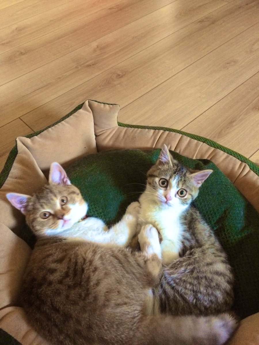 Date gibi date be 🍾