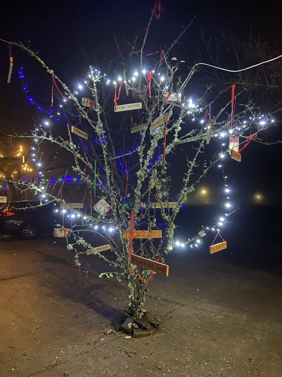 MrJaviee's tweet photo. En mi pueblo POBLADURA DE ALISTE (ZAMORA) Cada vez se toman más en serio la navidad, y muchos se dejan medio sueldo decorando sus casas. Porfa dadle famita, y si estáis cerca estas navidades pasaos, es un pueblo de 100 habitantes y lo hacen con mucha ilusión. https://t.co/Tebc6csimg