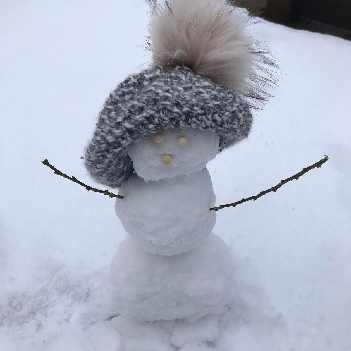 ElmvaleBIA's tweet photo. Tiny amounts of snow…means tiny snowmen
#TheyCount #LetsBuildaSnowman #SnowmanBuildingContest #ElmvaleBIA https://t.co/h8cFf4lk1q