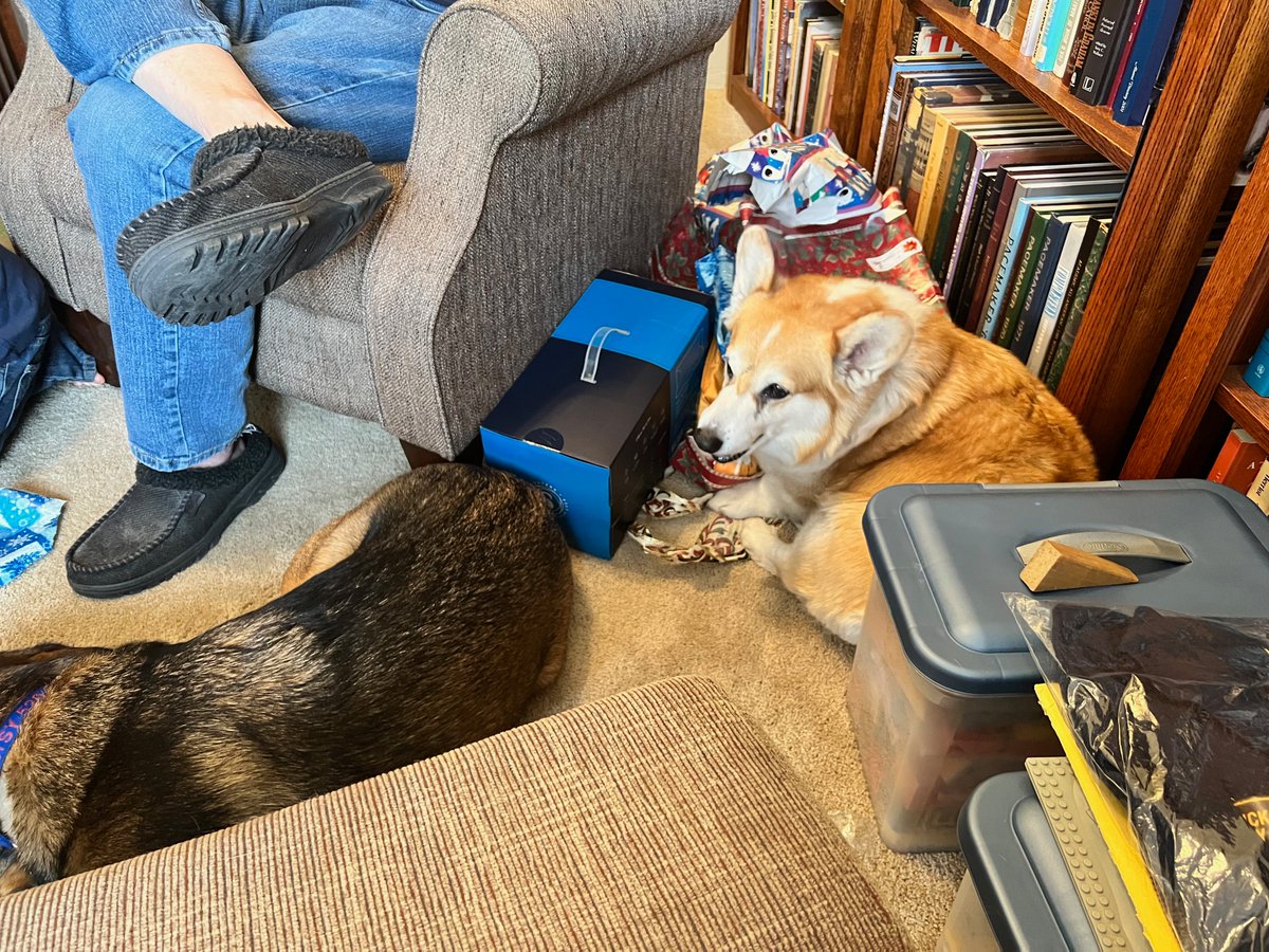 Russ the BlizzCorgi tweet media
