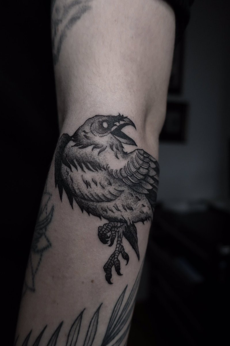 serkiton's tweet photo. Girls they just wanna have tatts @xpheebsx ✨ https://t.co/2pIkAc4zhW