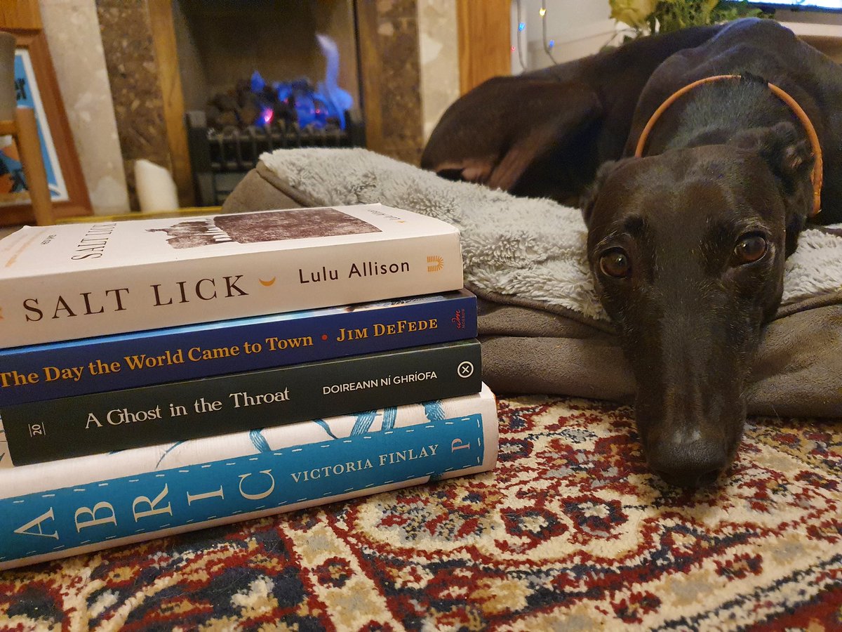 So happy with my book haul this Christmas... I've been looking forward to getting my hands on Salt Lick by @LuluAllison77 for AGES...