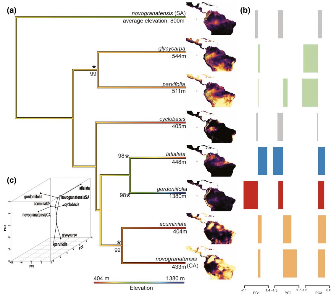 Rapid niche evolution in Otoba allows it to expand into many habitat types in the northern Neotropics despite limited dispersal ability, a patterned mirrored across the nutmeg family 🌎🌳 <a href="/funauntlaura/">Laura Frost</a> <a href="/lagomarsino_l/">Dr. Laura Lagomarsino</a> 

onlinelibrary.wiley.com/share/author/M…