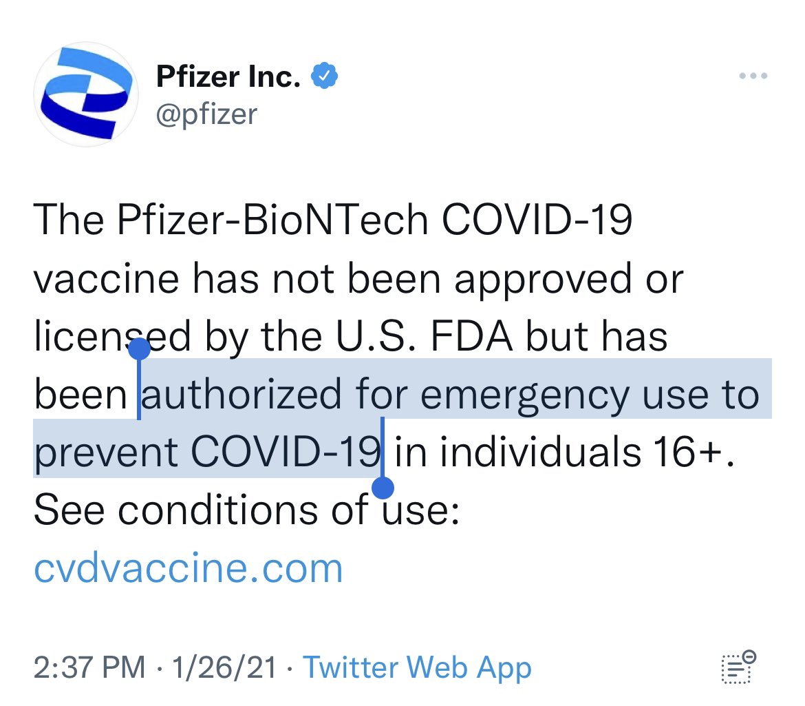 Cernovich tweet media