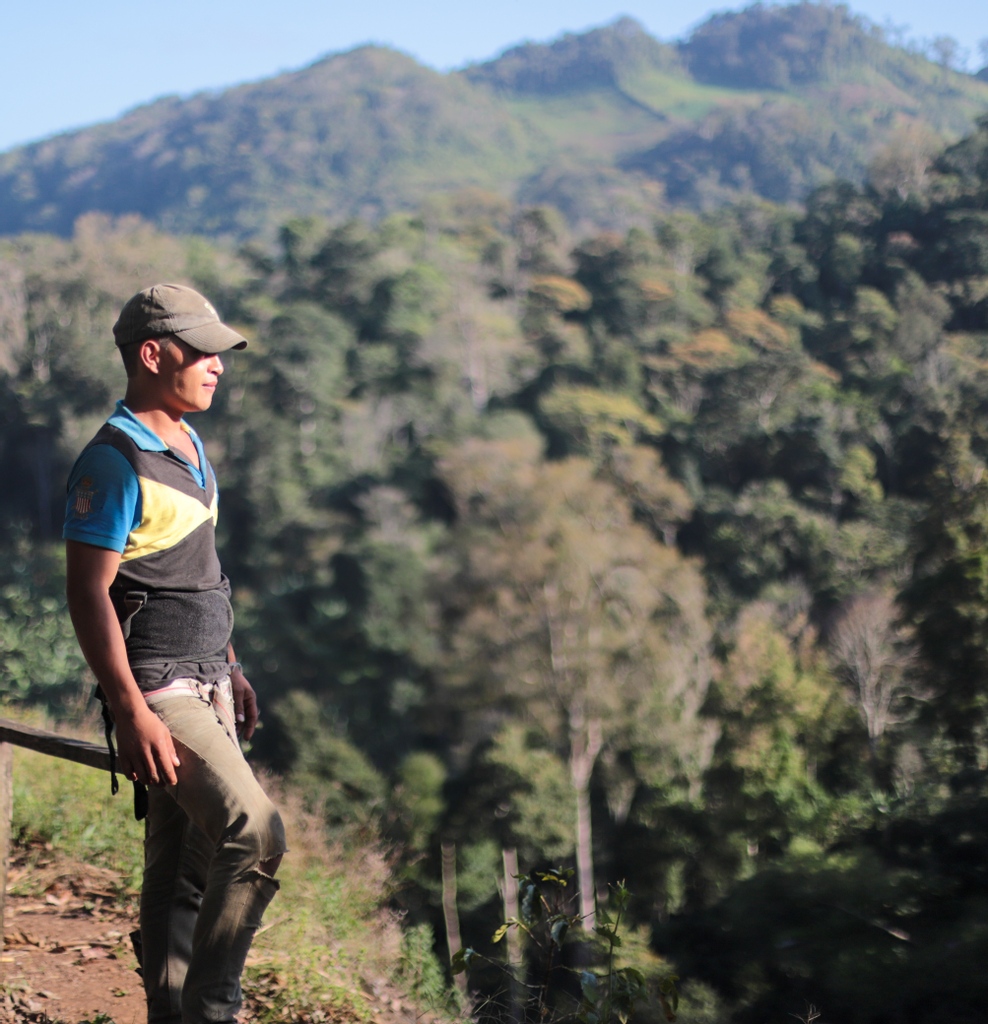 Wize Tea tweet media