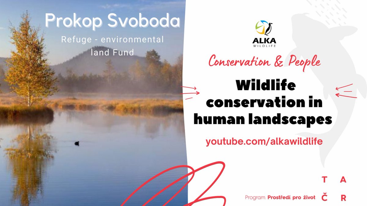 AlkaWildlife's tweet photo. The goal of this Fund is to create a portfolio of environmentally valuable lands in the Czech Republic in order to protect and restore them according to ESG principles – green, responsible, and sustainable investment strategies.

#Conservationandpeople https://t.co/kkdqQAzNZ4