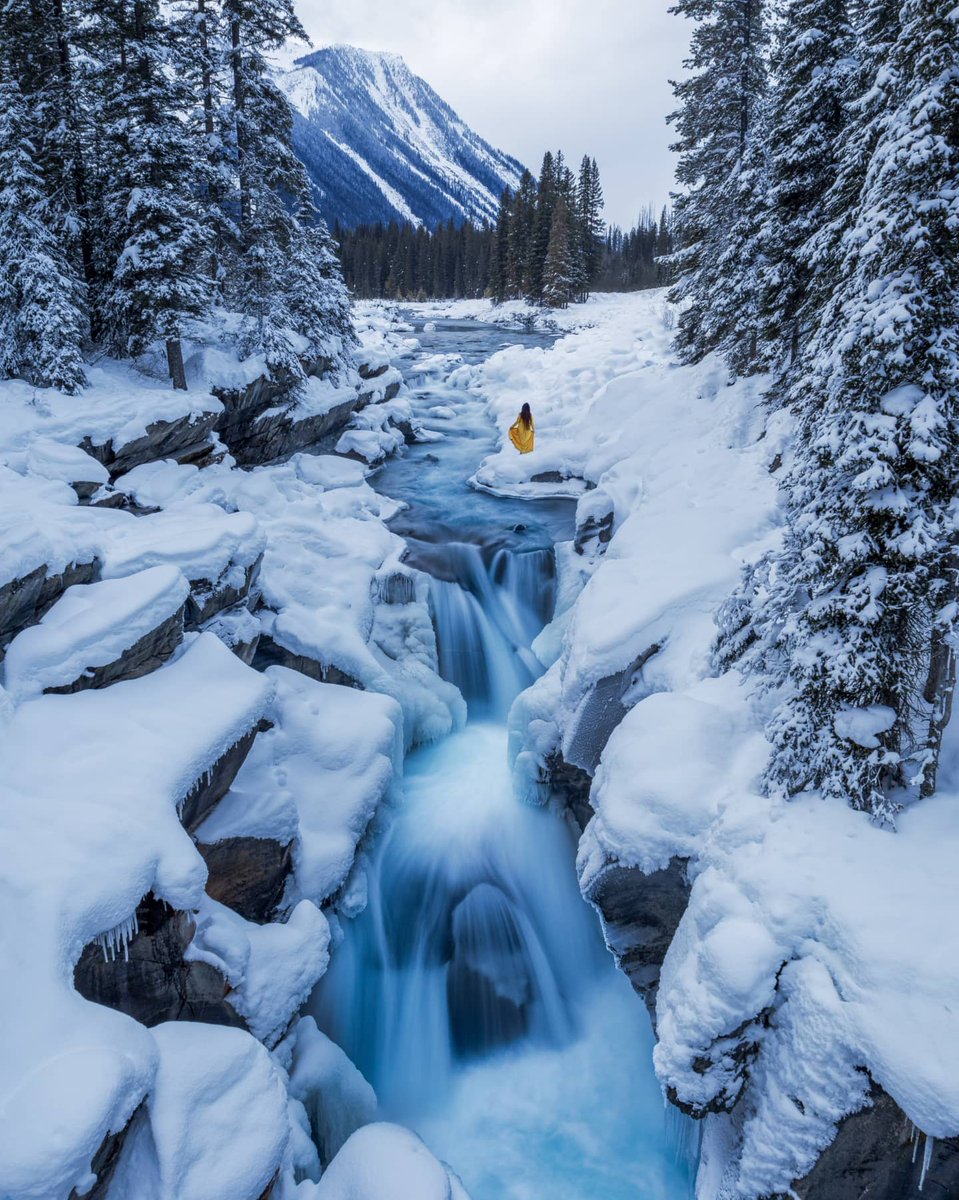 Canon España tweet media