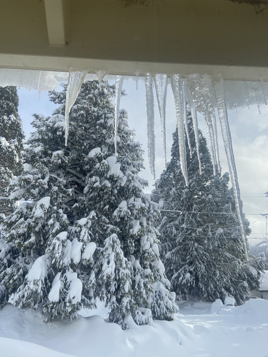 SmoshIan's tweet photo. L E T I T S NOW 🤩 ☃️❄️🌨 https://t.co/yzkwOnMAsg