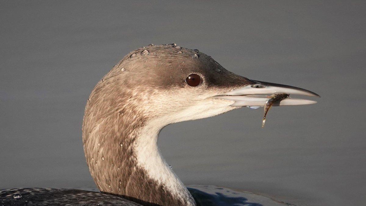 Rob Jones tweet media