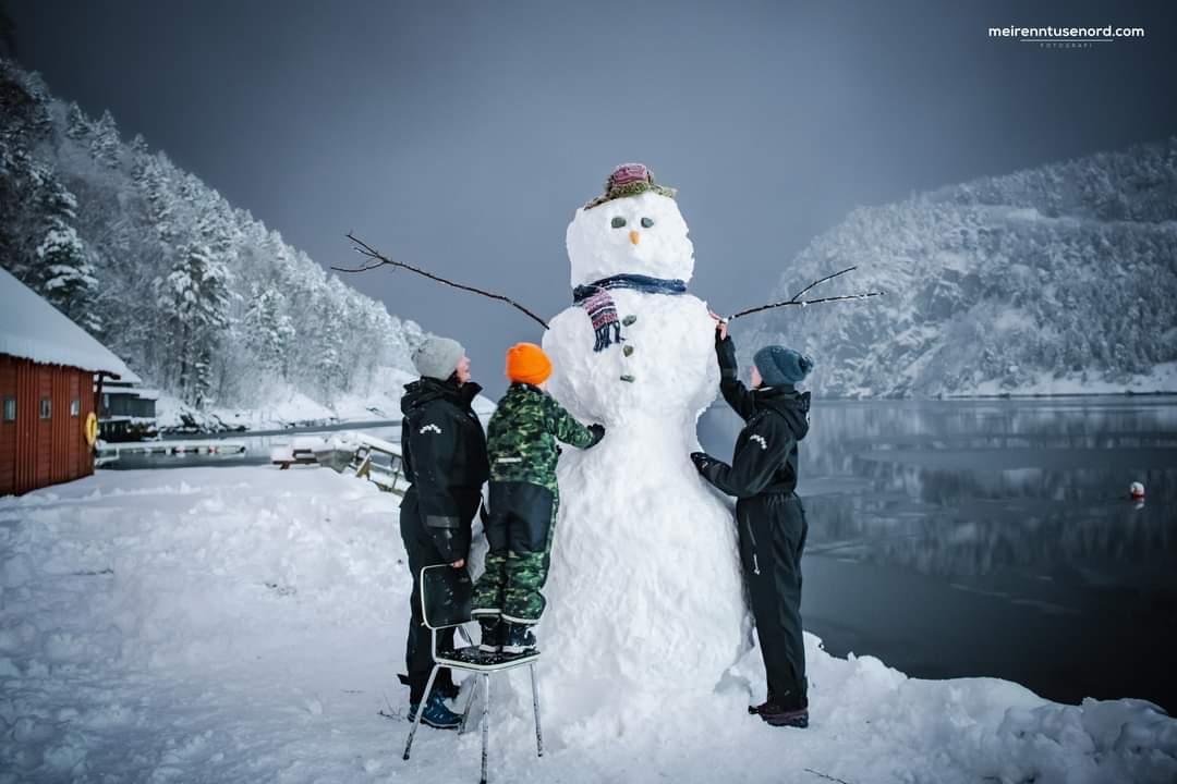 elusive_moose's tweet photo. #WordoftheDay Snømann (#snowmann) ☃️🥕 Photo Kristoffer Nærø Ytterland #Norway #winter https://t.co/bR9JbwzZ37
