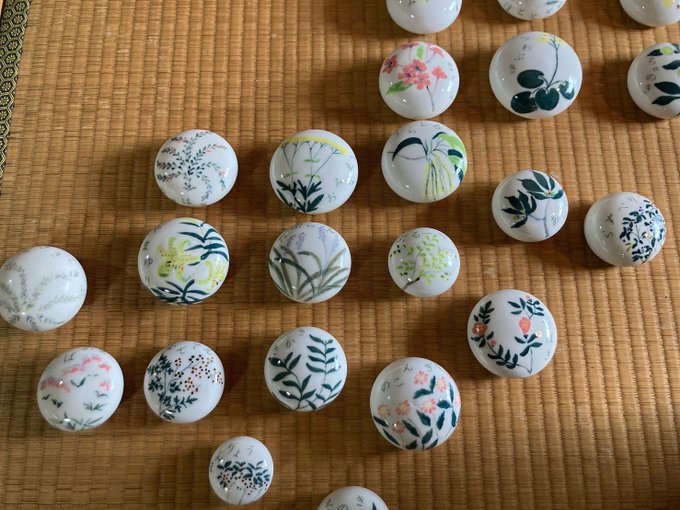 植物図鑑のtwitterイラスト検索結果 古い順