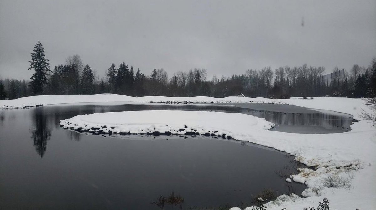 Echo Falls Golf Club tweet media