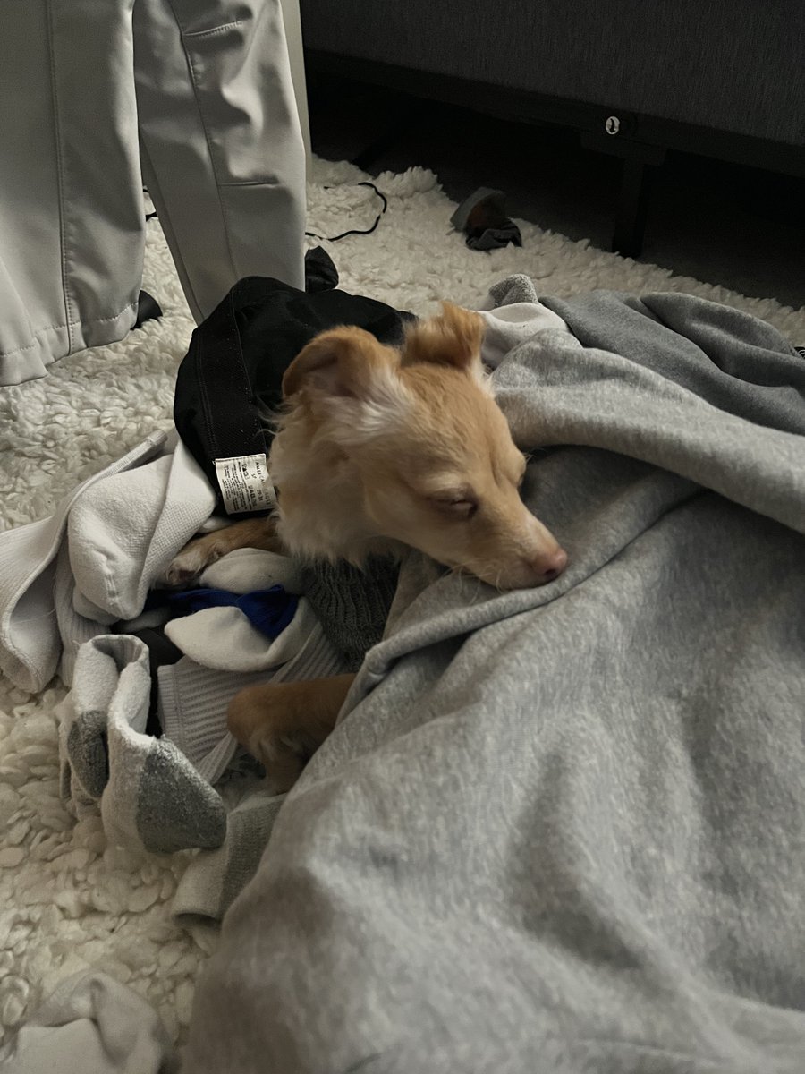 Edwin_Guerrero8's tweet photo. warm laundry https://t.co/ucsDS8NSYC
