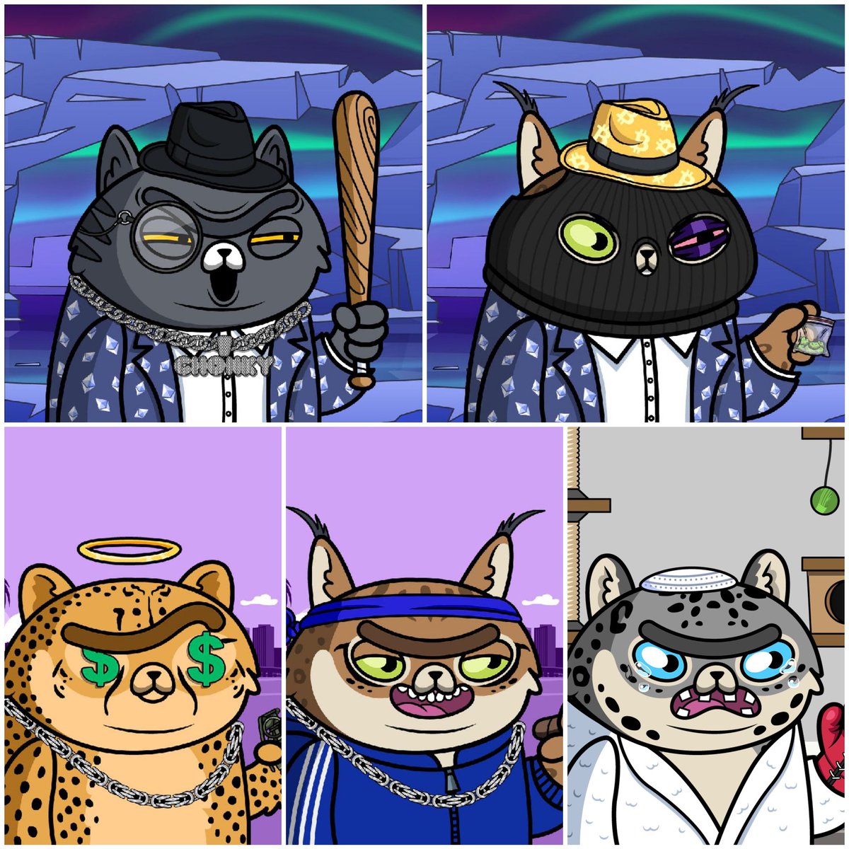 Robert Sturm-Tamez tweet media