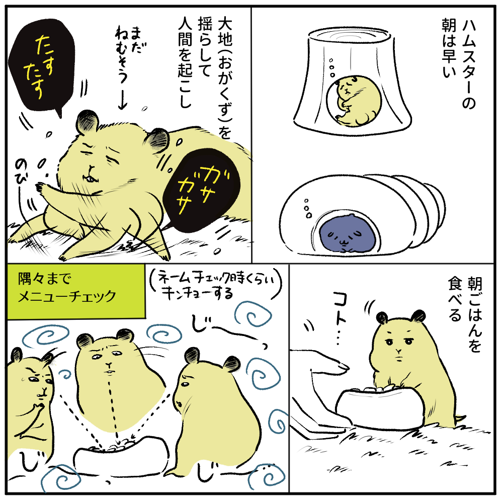 ハムスター日記:100万年生きてくれ…。ゴハンチェックの顔本当にこんな感じです 