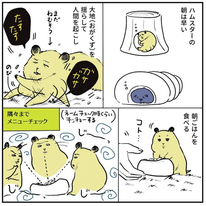 ハムスター日記:100万年生きてくれ…。ゴハンチェックの顔本当にこんな感じです 