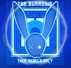 Rebel_Drips's tweet photo. Genny means business!
#rebelrabbits #TrueRebels #TheBurrows #Genny https://t.co/Lf6CGlzbyh